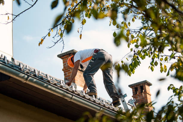 Best Roof Leak Repair  in Middlebush, NJ